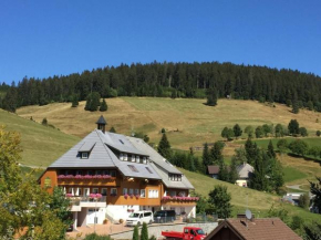  Ferienwohnung-Schwarzwald-in-der-Pension-Gloecklehof  Тодтнау